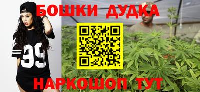 гидра Лесосибирск