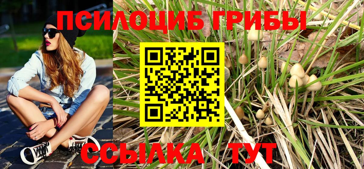 где можно купить   Псилоцибиновые грибы GOLDEN TEACHER  Вход с VPN  Изобильный  Псилоцибиновые грибы мухоморы 